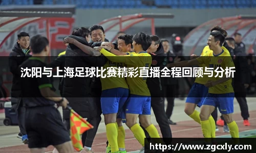 沈阳与上海足球比赛精彩直播全程回顾与分析