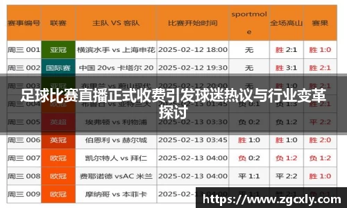 足球比赛直播正式收费引发球迷热议与行业变革探讨
