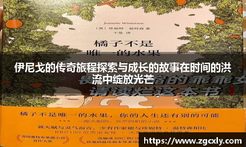 伊尼戈的传奇旅程探索与成长的故事在时间的洪流中绽放光芒