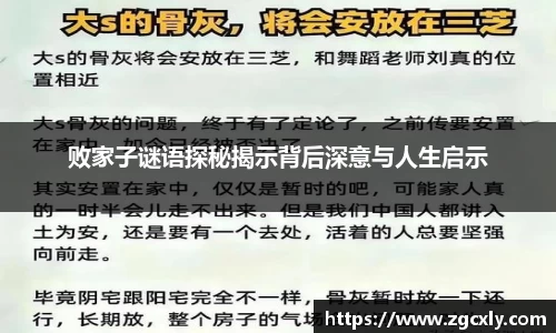 败家子谜语探秘揭示背后深意与人生启示