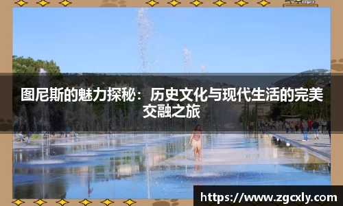 图尼斯的魅力探秘：历史文化与现代生活的完美交融之旅