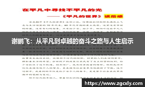谢鹏飞：从平凡到卓越的奋斗之路与人生启示